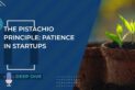 The Pistachio Principle: Patience in Startups